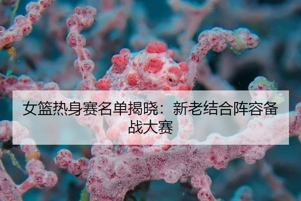 女篮热身赛名单揭晓：新老结合阵容备战大赛