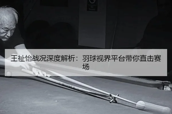 wang-zhi-yi-zhan-kuang-shen-du-jie-xi-yu-qiu-shi-jie-ping-tai-dai-ni-zhi-ji-sai-chang-2-730.jpg